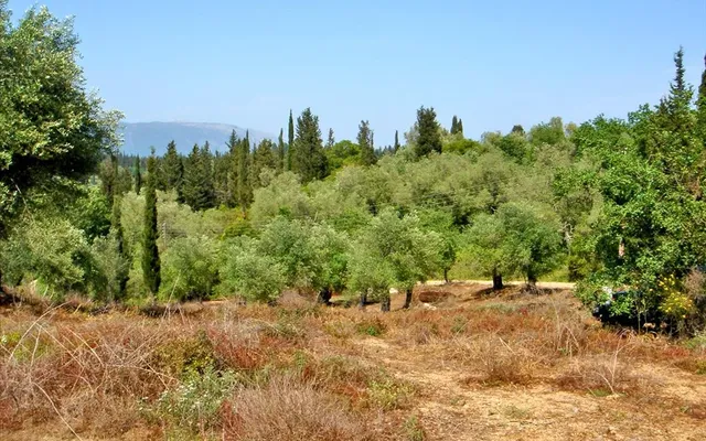 Земельный участок в Corfu