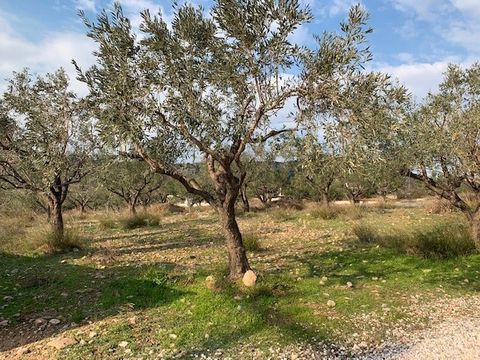 Земельный участок в Лагониси