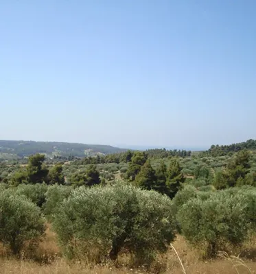 Земельный участок в Kassandra Municipality