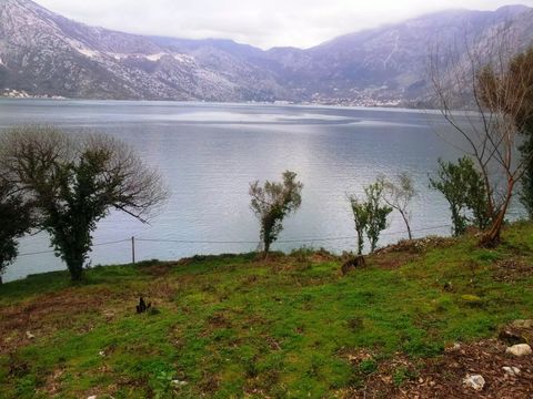 Земельный участок в Костаньица