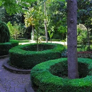 Вилла в Флоренция, фото 5