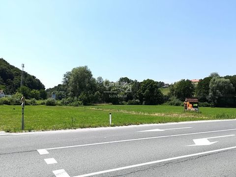 Земельный участок в Шмаре при Елшах