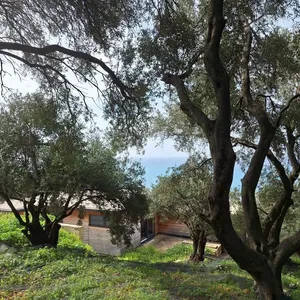 Земельный участок в Corfu, фото 2
