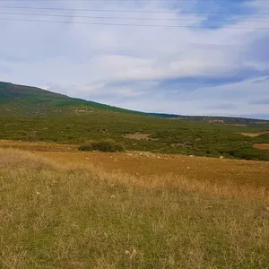 Земельный участок в Терми, фото 5
