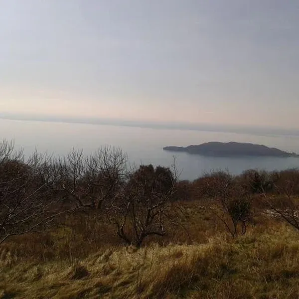 Земельный участок в Кульяче, фото 1