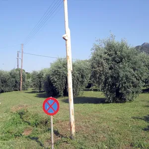 Земельный участок в Тасос, фото 4