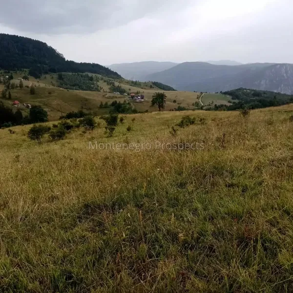 Земельный участок в Плевля, фото 1
