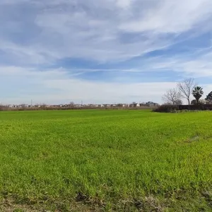 Земельный участок в Катерини, фото 2