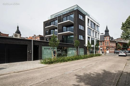 Leopold in Brasschaat