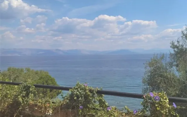Отдельный дом в Corfu
