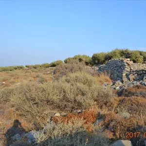 Земельный участок в Агиос Николаос, фото 3
