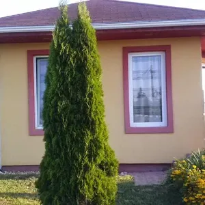 Отдельный дом в Хевиз, фото 4