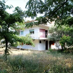 Отель в Ситониа, фото 5