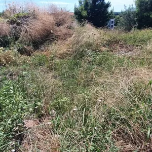 Земельный участок в Kassandra Municipality, фото 2