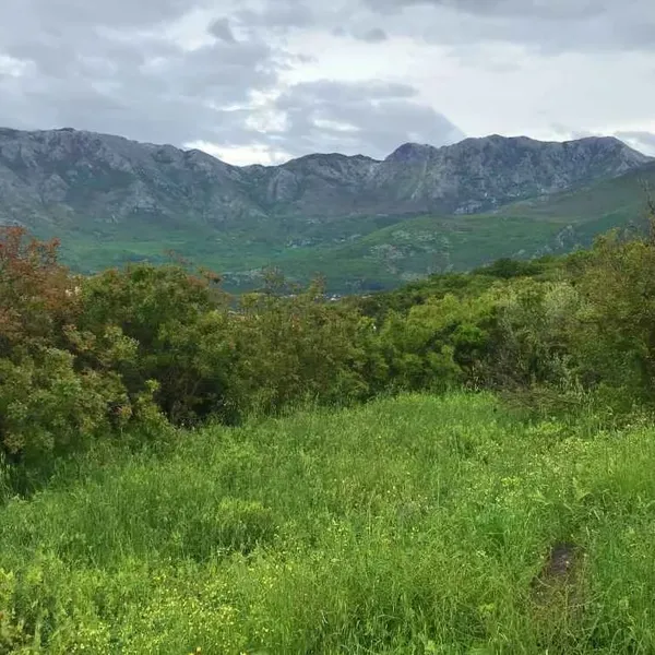 Земельный участок в Котор, фото 2