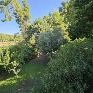 Мезонет в Kassandra Municipality, фото 4