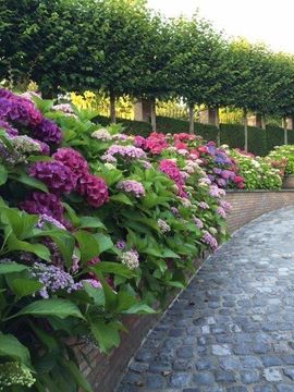 Коттедж в Брюссель