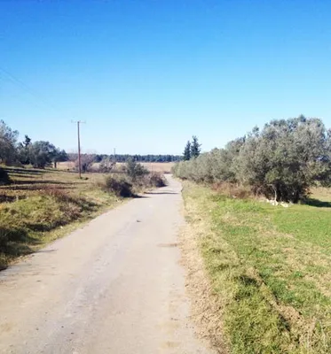 Земельный участок в Kassandra Municipality