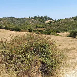 Земельный участок в Kassandra Municipality, фото 5