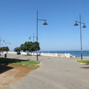 Студия в Торревьеха, фото 3