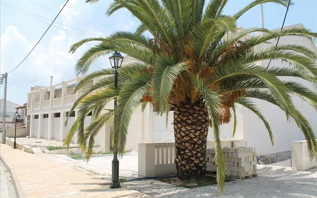Коммерческая недвижимость в Corfu