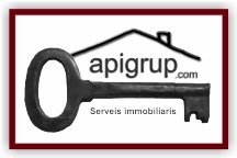 APIGrup