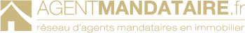 Agent Mandataire France